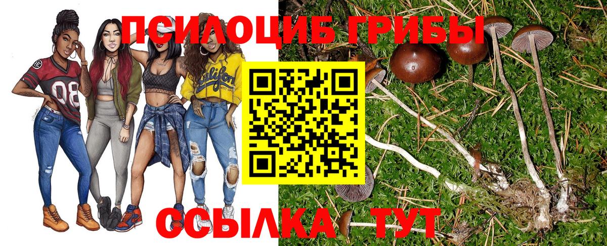 Псилоцибиновые грибы ЛСД Великий Устюг