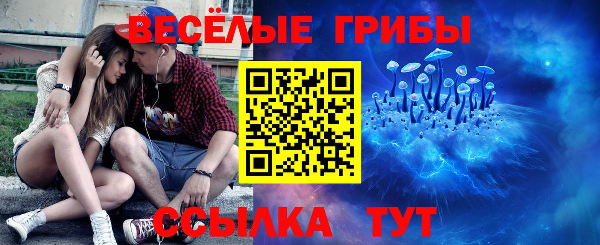 Галлюциногенные грибы прущие грибы  Вход с VPN  Великий Устюг  Галлюциногенные грибы мицелий 