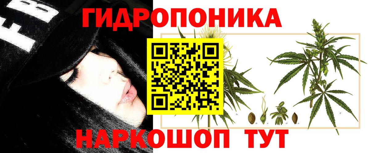 Канабис MAZAR  Бошки марихуана конопля  Бошки марихуана AK-47  Великий Устюг  Шишки марихуана MAZAR  Вход с VPN 